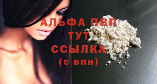 ECSTASY Магас