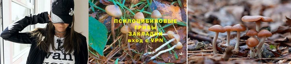 ECSTASY Магас