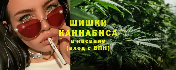 ECSTASY Магас