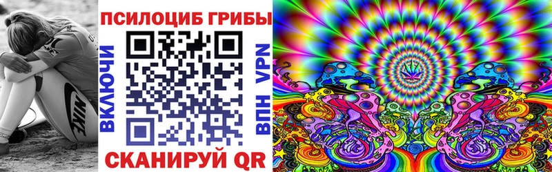 купить закладку  Покачи  Псилоцибиновые грибы Cubensis 